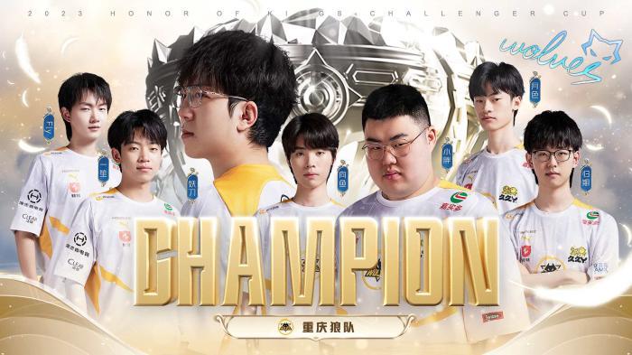 不仅仅限于